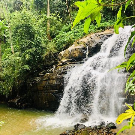 River Splendour Home Stay 엘라 외부 사진