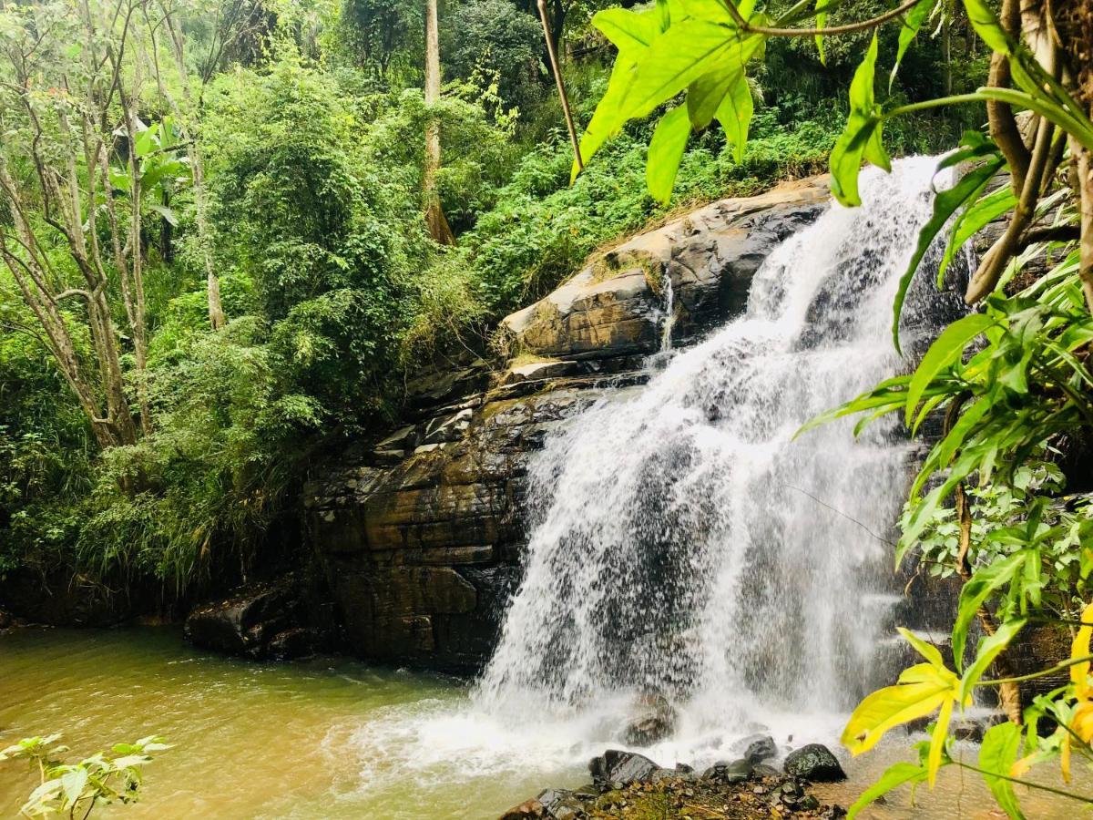 River Splendour Home Stay 엘라 외부 사진