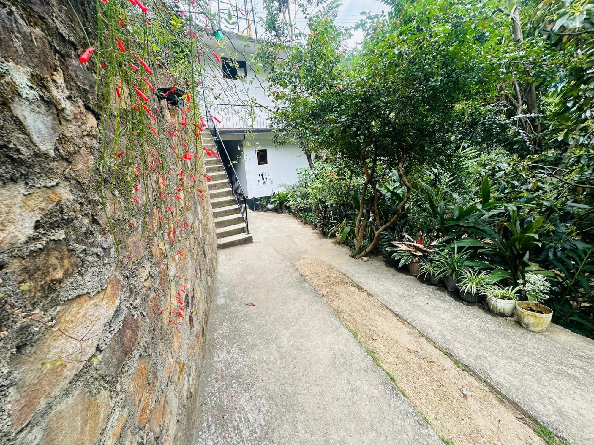 River Splendour Home Stay 엘라 외부 사진