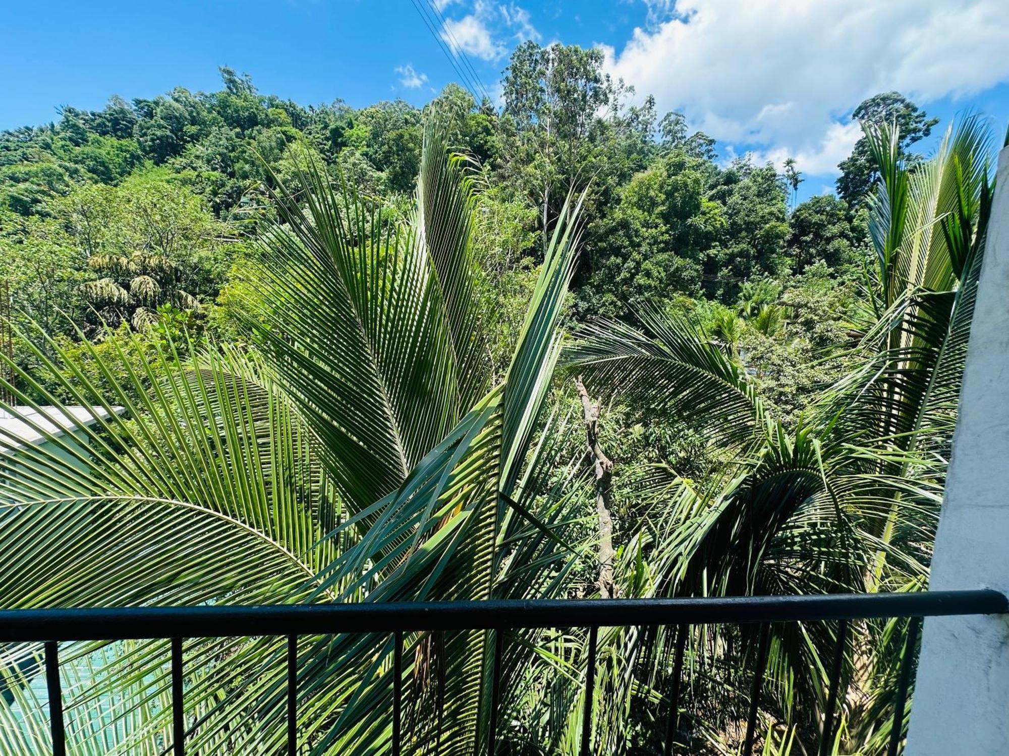 River Splendour Home Stay 엘라 외부 사진